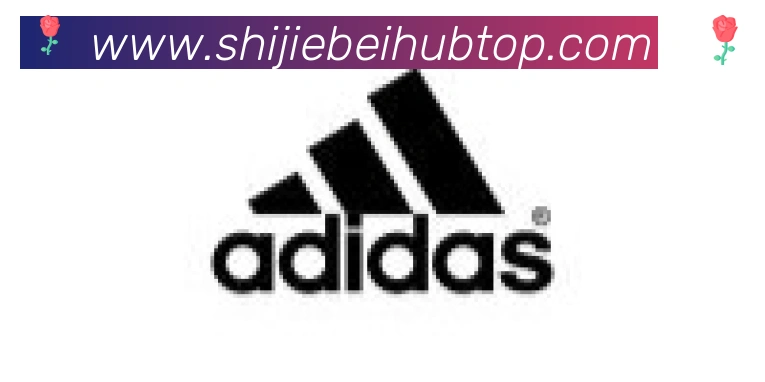 世界杯资讯官方网站合作伙伴